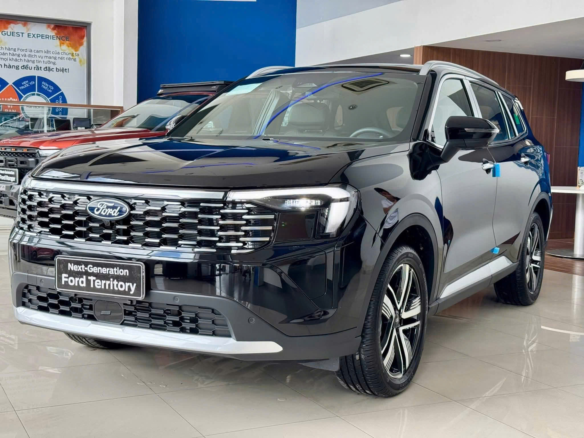 z6974829357667_b1add0fff8b1b0a63392de49242f6467 TERRITORY Trend